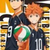 Haikyuu anime poster featuring Tobio Kageyama and Shoyo Hinata in Karasuno volleyball uniforms holding a volleyball.